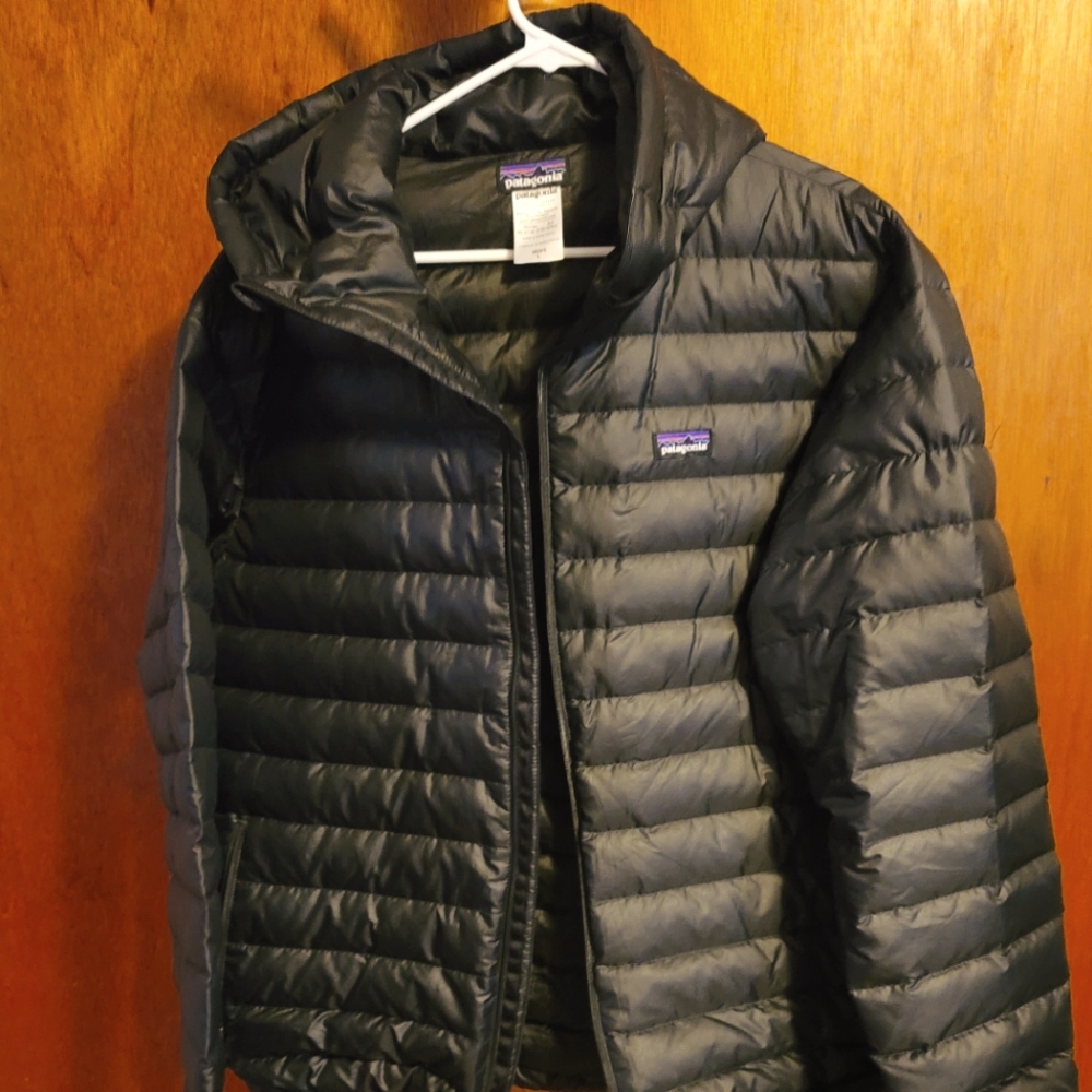 Patagonia Down Sweater Hoody